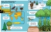 Building Blocks of Geography (New Edition) - 20497