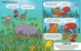 Building Blocks of Geography (New Edition) - 20497
